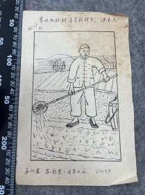 五十年代蔡德生漫画：麦田加肥料，产量就提高，尺寸品相如图