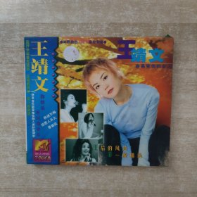 王靖文 容易受伤的女人MTV VCD