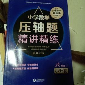 小学数学压轴题精讲精练（六年级+小升初）