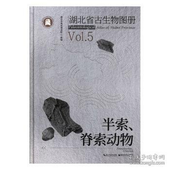 湖北省古生物图册(5半索脊索动物)(精)