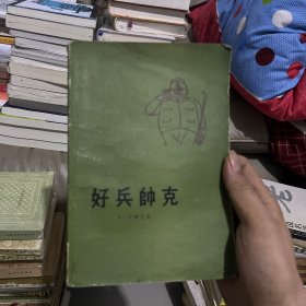 好兵帅克历险记（外国文学名著丛书 怀旧网格本）