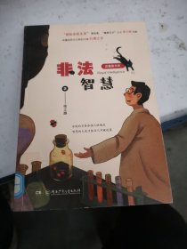 豆蔻镇书系——非法智慧