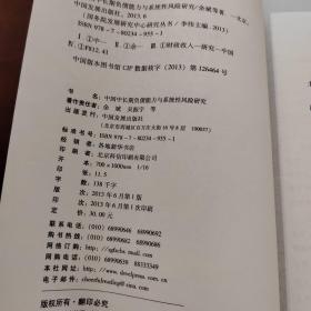 国务院发展研究中心研究丛书：中国中长期负债能力与系统性风险研究