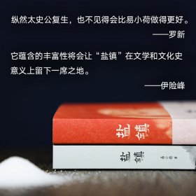 【正版库存书】中国当代纪实文学：盐镇