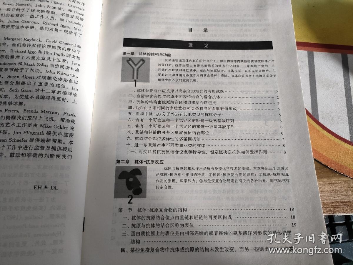 抗体技术实验指南