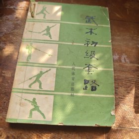 武术初级套路