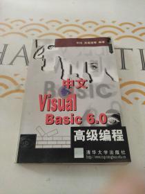 中文 Visual Basic 6.0 高级编程