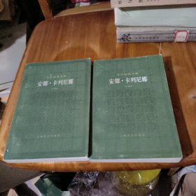 安娜卡列尼娜，上下册