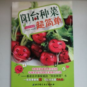 阳台种菜超简单（完美升级版）