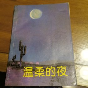 温柔的夜