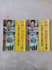 智擒一指残匪王AB卷