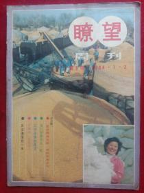 《瞭望》1984年创刊号