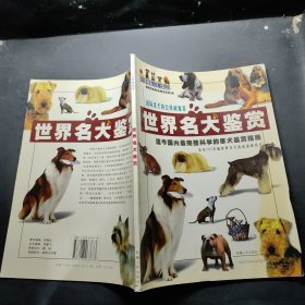 世界名犬鉴赏