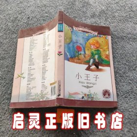 新课标小学语文阅读丛书:小王子 （第3辑 彩绘注音版）