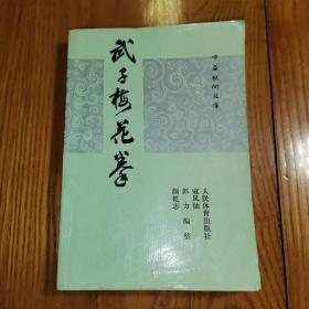 武子梅花拳（中华武术文库拳械部拳术类）1991年原版书