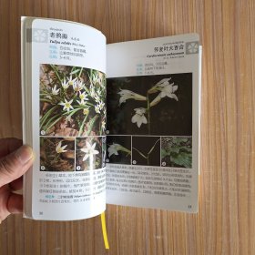 华东野外观花手册