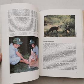 Restoring America s Wildlife1937-1987 （16开精装） 货号EE3