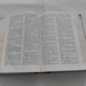 辞海
