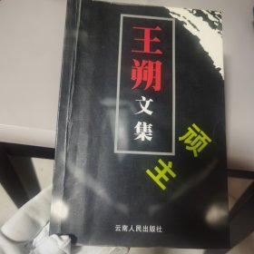 王朔文集：顽主