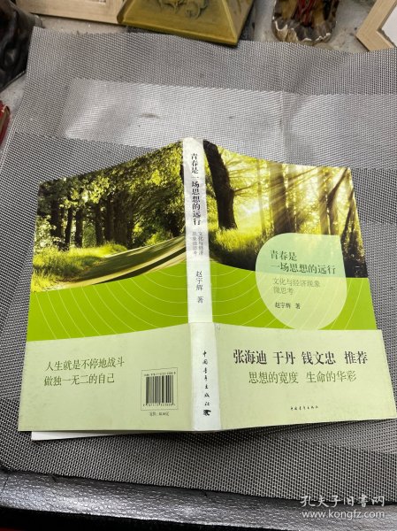 青春是一场思想的远行 : 文化与经济现象微思考