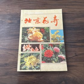 北京花卉