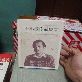 王小波作品集.杂文卷