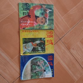 《精武》杂志，84年第2期（缺页）、86年第2期（缺页）、86年第4期（完整）三册合售！