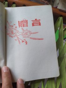 日记本，内彩图，空白，