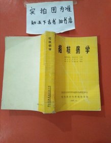 结核病学 有破损