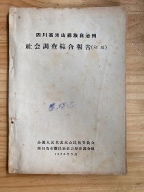 四川省凉山彝族自治州社会调查综合报告（初稿）