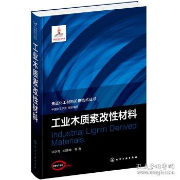 先进化工材料关键技术丛书--工业木质素改性材料