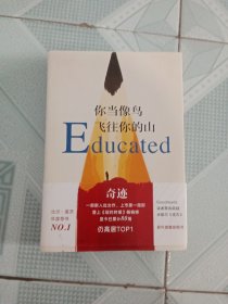 你当像鸟飞往你的山 精装