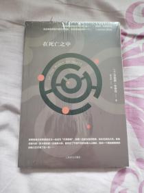 在死亡之中（劳伦斯·布洛克作品系列）