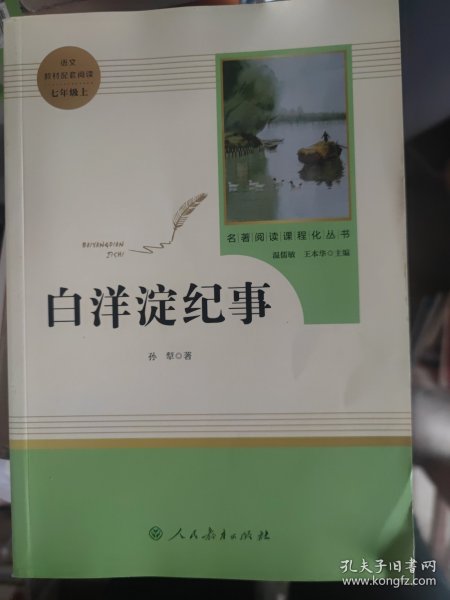 白洋淀纪事 名著阅读课程化丛书（统编语文教材配套阅读）七年级上