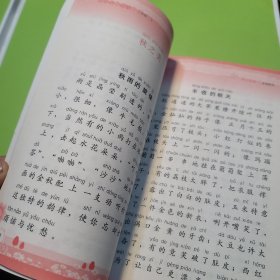 语文主题学习二年级上册，二册合售