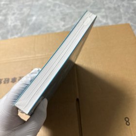 Flexible Visual Identity 灵活的视觉识别标志设计过程的创建和方法 英文原版