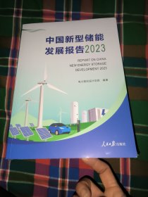 中国新型储能发展报告 . 2023