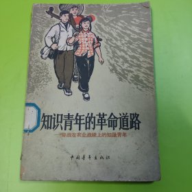 知识青年的革命道路(馆藏书)