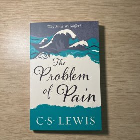 The Problem of Pain