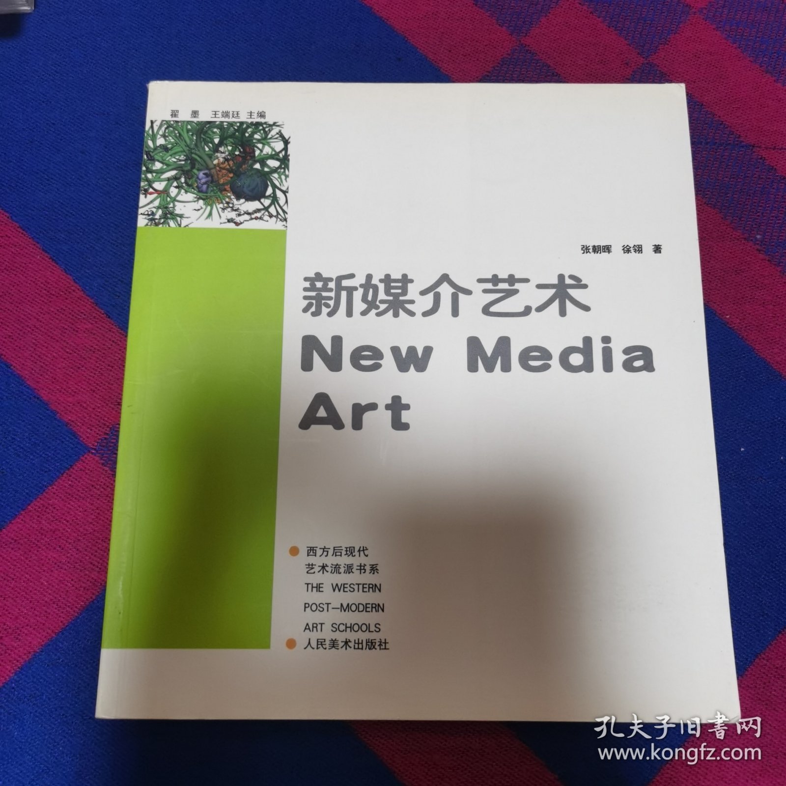 新媒介艺术—西方后现代艺术流派书系