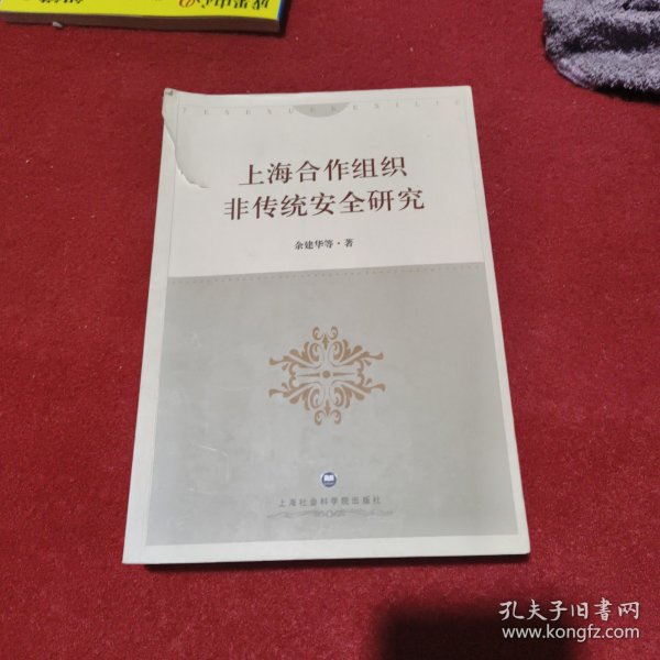 上海合作组织非传统安全研究