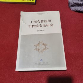 上海合作组织非传统安全研究