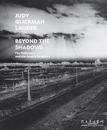 Judy Glickman Lauder: Beyond the Shadows进口原版