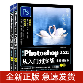 中文版Photoshop2021从入门到实战(全程视频版上下)