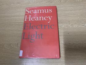 Electric Light         希尼 诗集 《电灯光》，诺贝尔文学奖得主，精装。黄灿然：到了他最后的三本诗集——《电灯光》《区线与环线》《人之链》,语言开始变得特别清晰……这时候诗人的语言倾向于简白。
