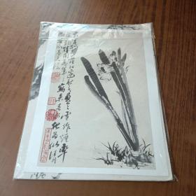 石涛·花卉图册/出类艺术大家小品