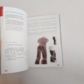 角色设计全书（卷二）：巅峰游戏造型艺术与技术（基于Photoshop+ZBrush+Maya）附光盘