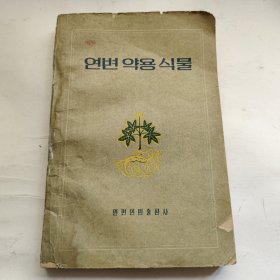 朝鲜文 延边药用植物
