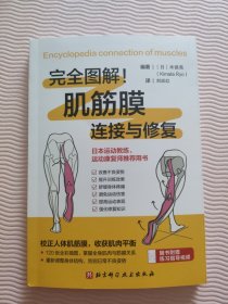 肌筋膜连接与修复