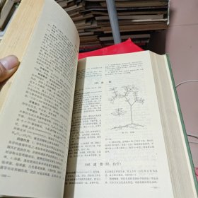 全国中草药汇编 上册